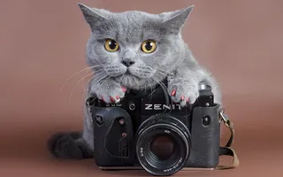 Zenit相机图片-第8张