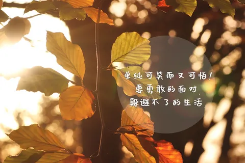 秋日正能量文字图片 秋日正能量文字图片