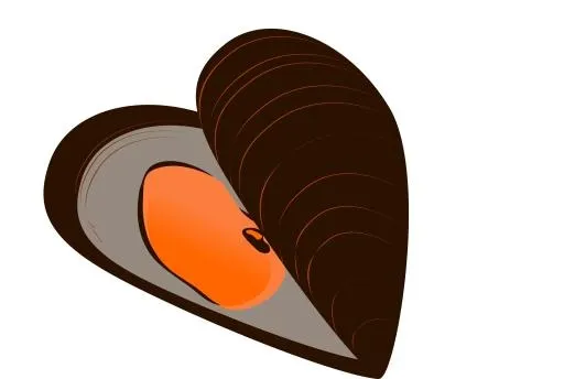 贻贝 PNG免抠(2400x1613)