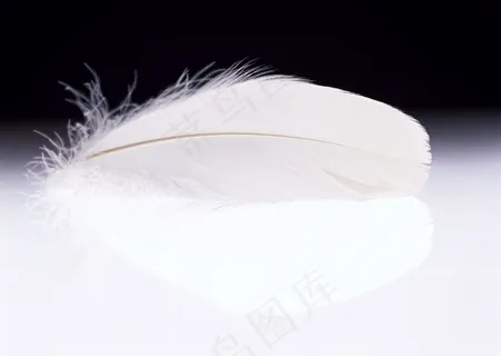 工艺品 271 工艺品 271