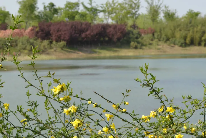 大蜀山森林公园风景图片-第10张