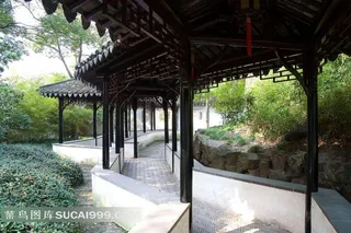 苏州拙政园摄影