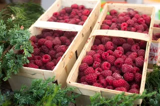 覆盆子丰收图片