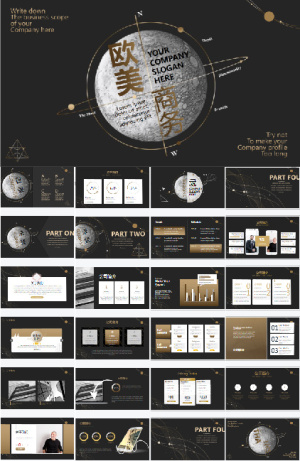 公司简介PPT商务汇报PPT预览图