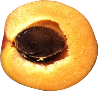 97_peach_PNG4845