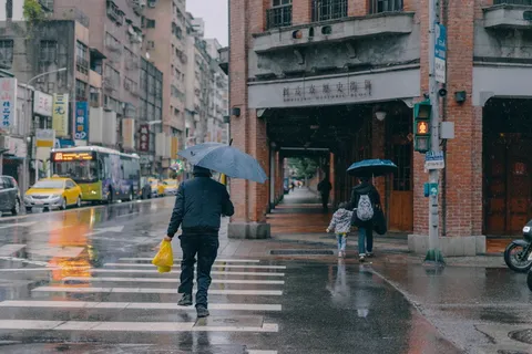 雨中撑伞走路背影图片 雨中撑伞走路背影图片