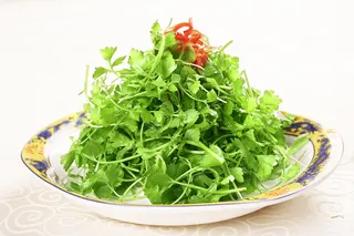 L01968巧拌三叶香