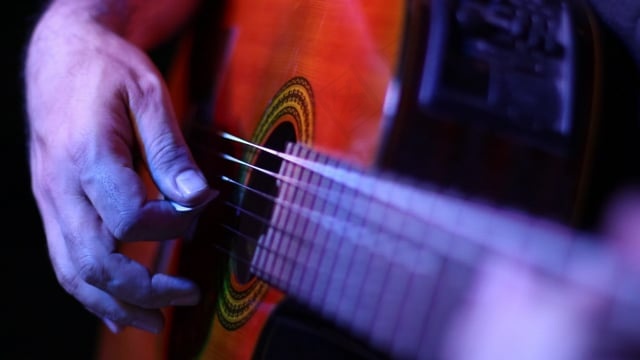 吉他, 音乐, 吉他手