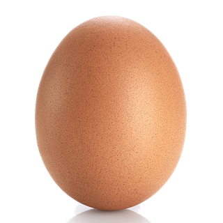 鹌鹑蛋 (超市商品白底图免抠实物摄影png格式图片透明底025