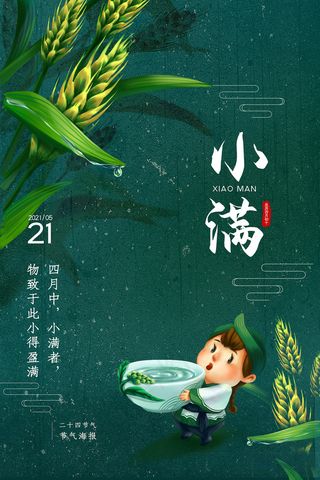 手绘24传统节气小满节日海报