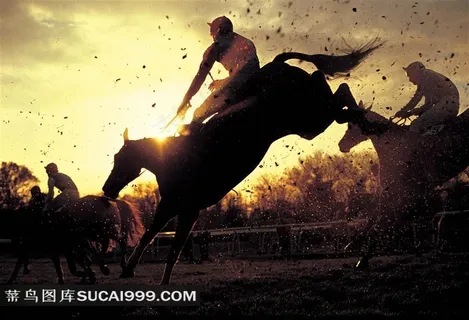 夕阳下奔驰的骏马剪影摄影图