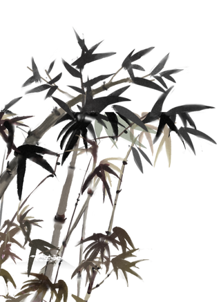 竹子水墨画中国风国画墨水书法竹子画