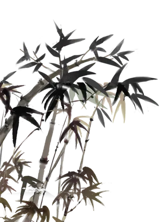 竹子水墨画中国风国画墨水书法竹子画