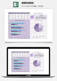 63-数据总结报告
