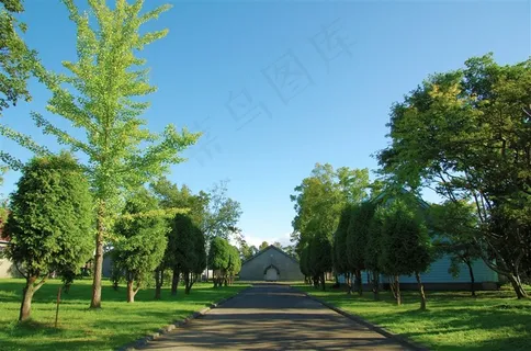 北海道植物园图片 北海道植物园图片