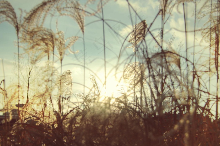 非主流日落风景图片