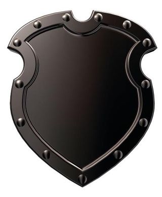 盾牌 金属盾牌不干胶