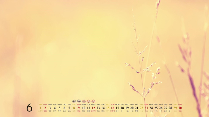 自然风光 高清壁纸 (177)