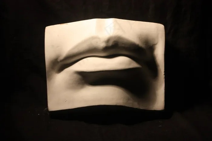 嘴巴石膏模型