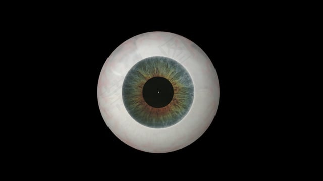 眼球, 眼睛, 解剖学, 人类, 想象, 眼力, 看, 虹膜