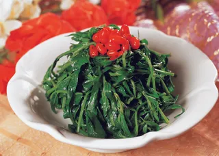 89LC-361凉拌枸杞苗