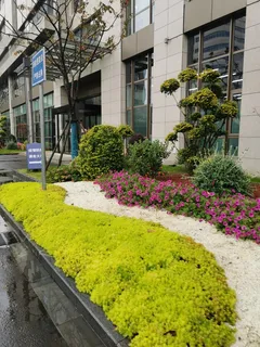 写字楼下的花镜