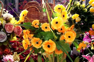 高清花篮图片下载