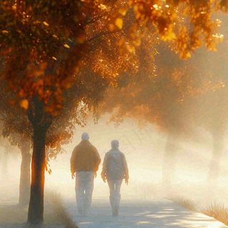 父母年长老人父亲节母亲节温馨落日背影