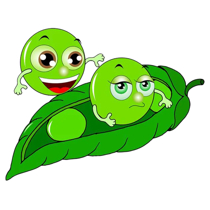 简笔卡通豌豆