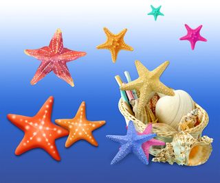 海底生物海星免抠素材集合