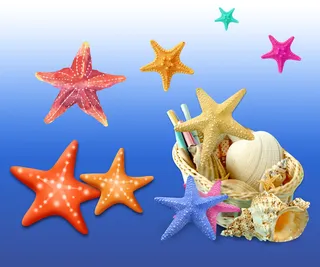 海底生物海星免抠素材集合