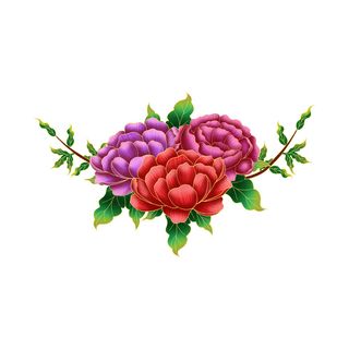 手绘国潮中国风古典牡丹花国花花卉装饰图案PSD设计素材