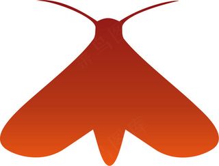 虫 矢量图虫子 萤火虫 插画 插图