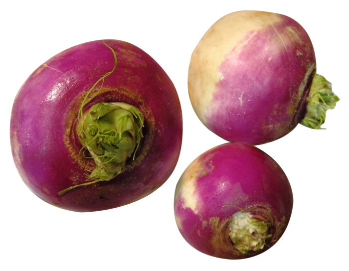 紫萝卜蔬菜