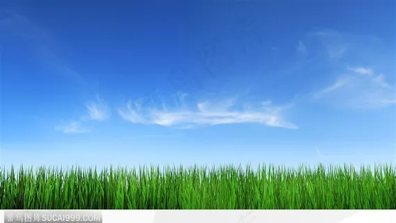 草地天空-3
