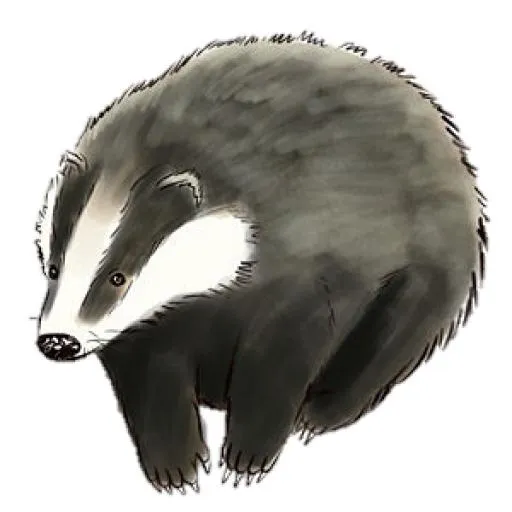 獾 PNG(300x300)