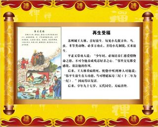 黄色卷轴书券故事简介