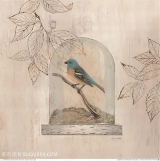 欧式花鸟装饰画