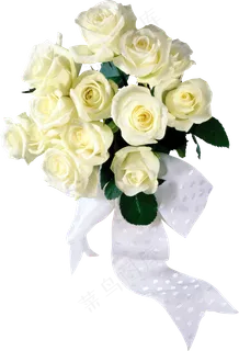 白玫瑰  