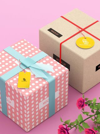 包装智能贴图样机VI效果PSD素材