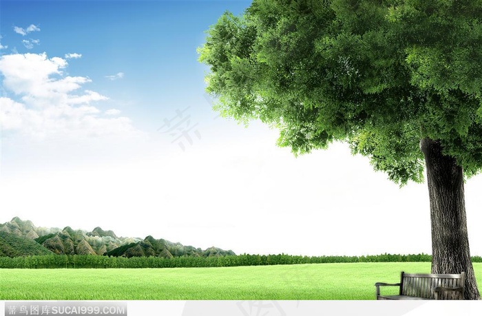 大树 草地 草坪房地产类图片