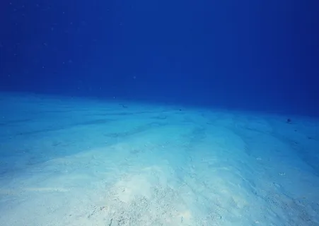 海底世界 109 海底世界 109