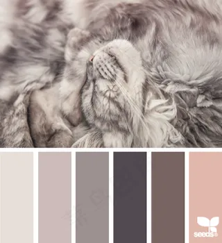 动物配色色卡色彩搭配