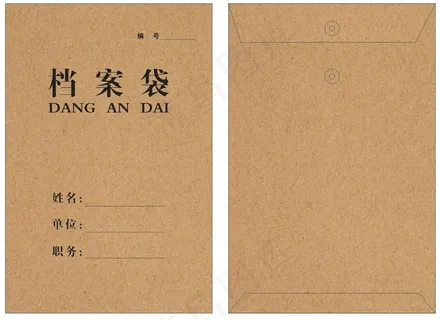 牛皮纸普通通用档案袋模版