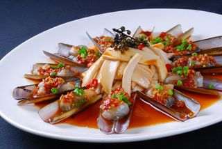 XCXC1096风味圣子皇