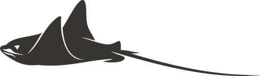 黄貂鱼 PNG免抠(1193x351)