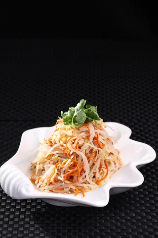 L02252虫草花豆芽 (5)