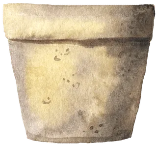 水彩插画-花盆2