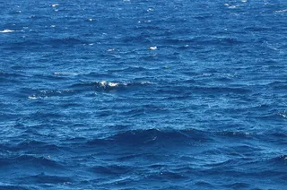 海边大海风景背景墙