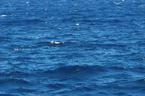 海边大海风景背景墙 海边大海风景背景墙